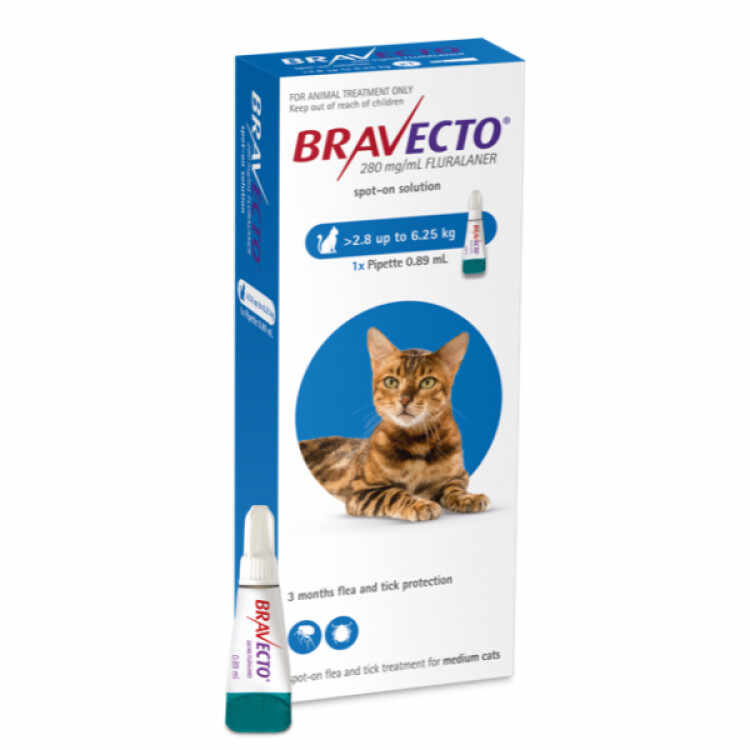 Bravecto Spot On Cat 250mg (2.8-6.25kg) pipeta