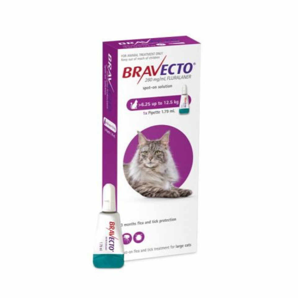 Bravecto Spot On Cat 500mg (6.25-12.5kg) pipeta