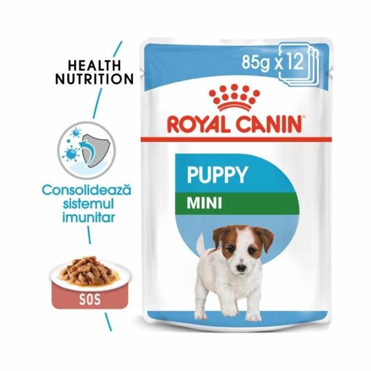 Hrana umeda Royal Canin Mini Puppy Plicuri 12x85g