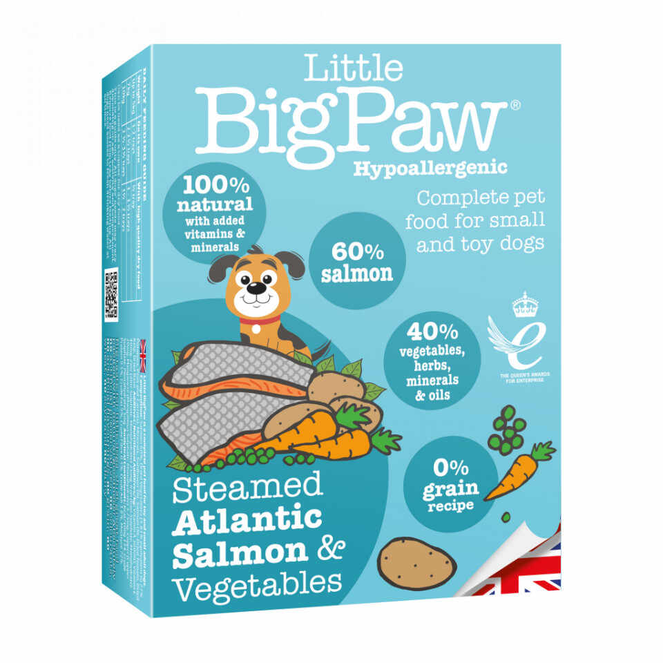 Little BigPaw Steamed Atlantic Salmon Vegetable Terrine Hypoallergenic 150g