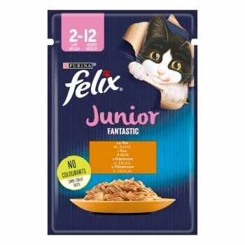 PURINA Felix Fantastic Junior, Pui, bax plic hrană umedă pisici junior, (în aspic), 85g x 26