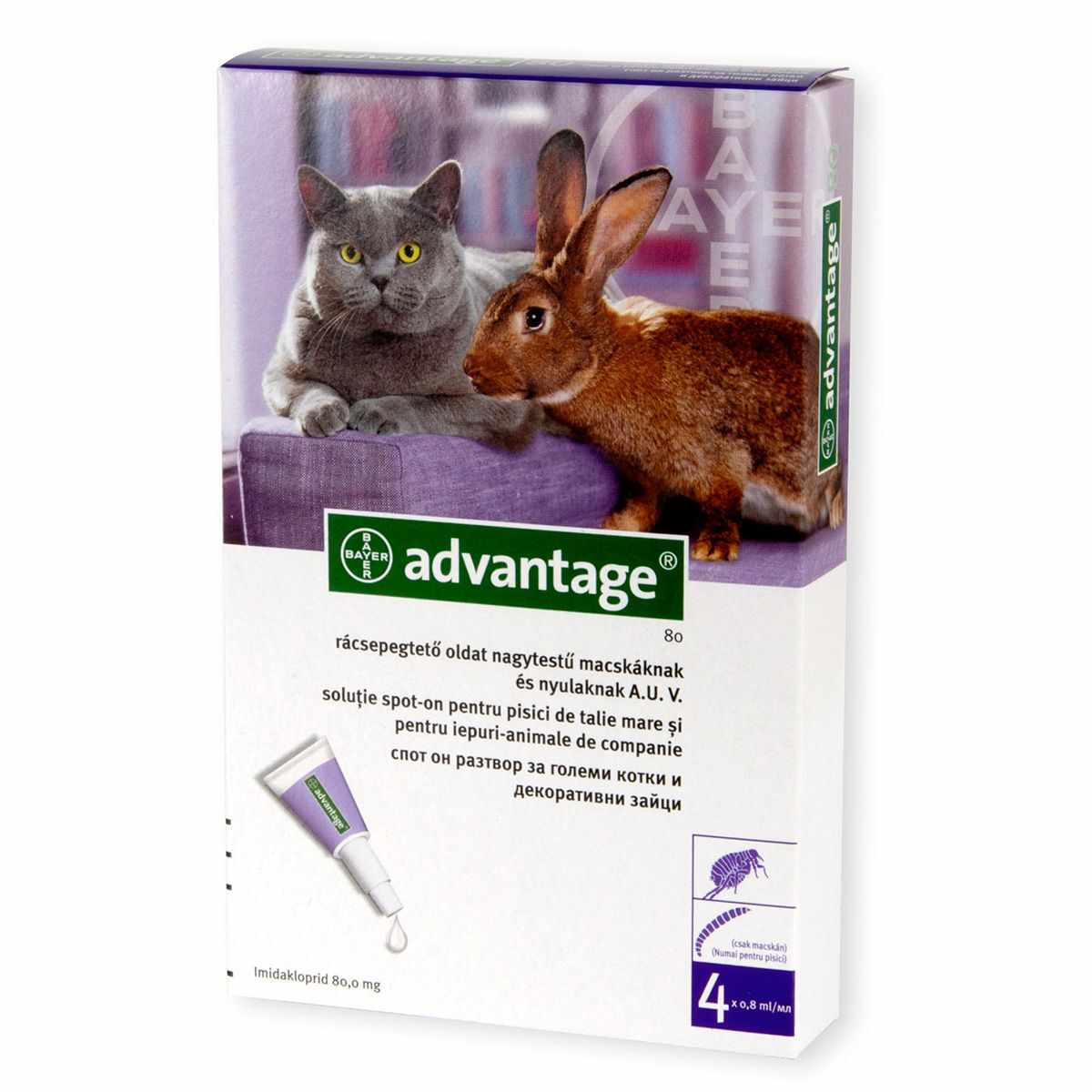 Advantage 80 Cat/ Rabbit X 4 Pipete