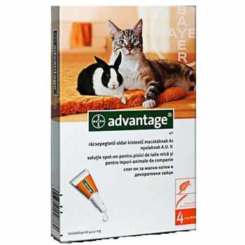 Advantage Pisica/Iepure 40, < 4 kg, 4 pipete