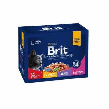 Brit Premium Cat plic Family Variety 12 x 100 gr