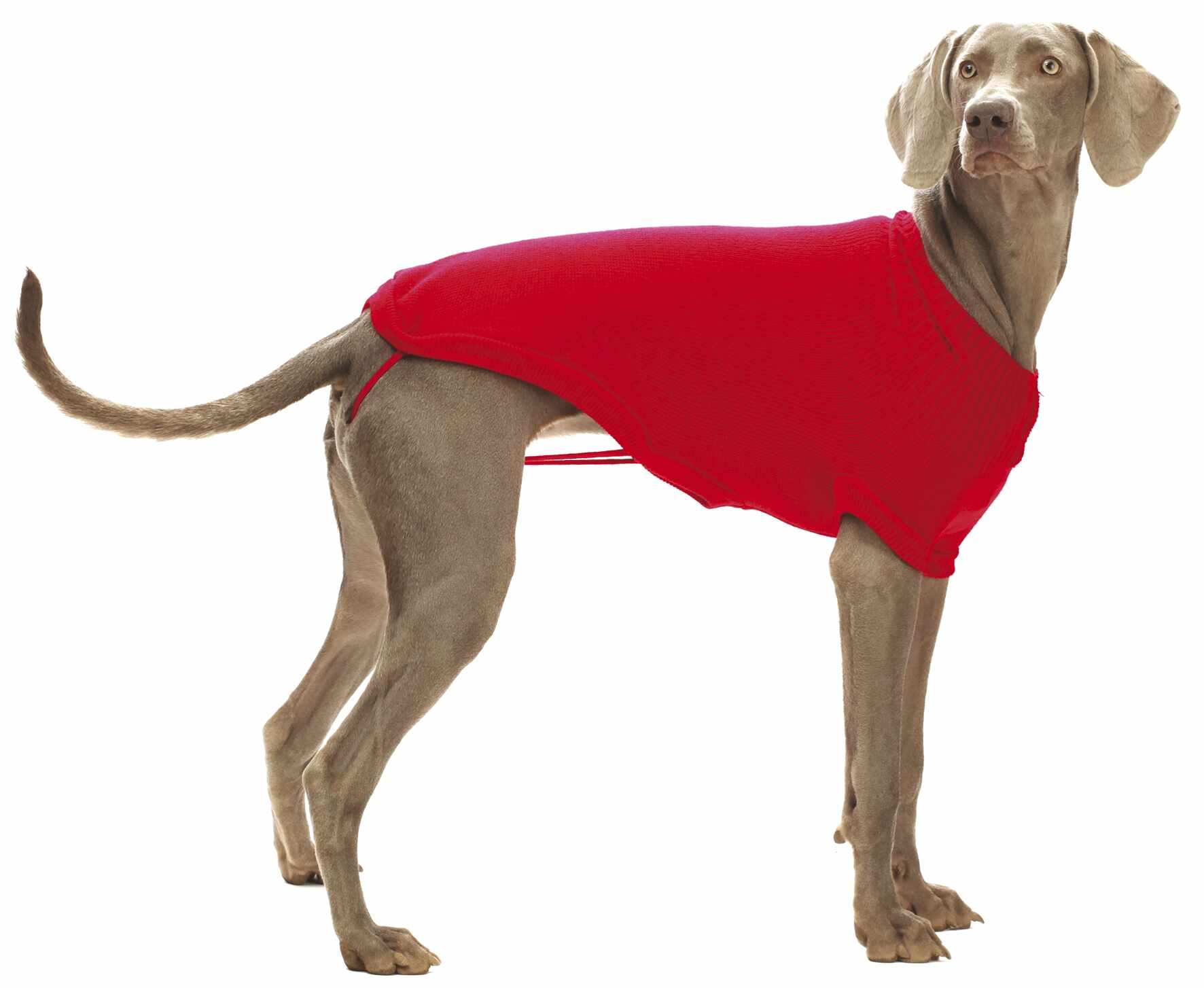 Pulover rosu tricotat pentru caini Croci 40 cm