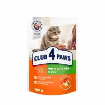 CLUB 4 PAWS Premium, Pui, plic hrană umedă pisici, (în sos), 100g