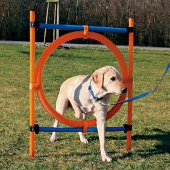 TRIXIE Agility Ring, jucărie obstacol câini, plastic, 65cm, albastru cu portocaliu