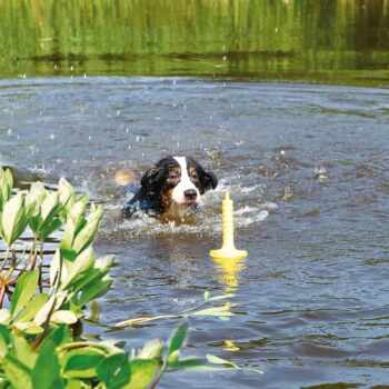 TRIXIE, MOT-Aqua, jucărie aport plutitor câini, poliuretan, 29cm, galben