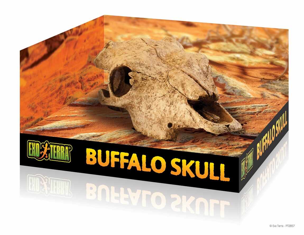 Decor pentru terariu Exo Terra Buffalo Skull 11.2x23x23cm