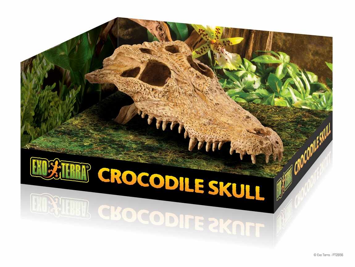 ​Decor pentru terariu Exo Terra Crocodile Skull 23x12x7.5cm