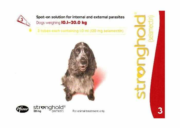 Stronghold Caine 120 Mg 10-20 kg 1 pipeta