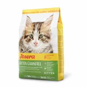 JOSERA Kitten Grainfree, Somon, hrană uscată fără cereale pisici junior, 10kg