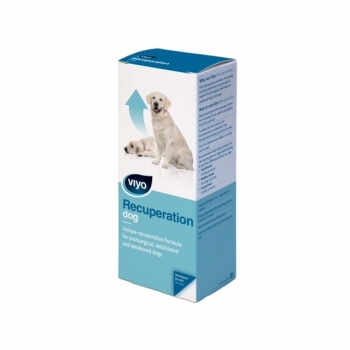 Viyo Recuperation Dog 150ml