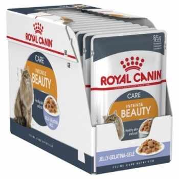 Pachet Royal Canin Intense Beauty in Jelly, 12 x 85 g