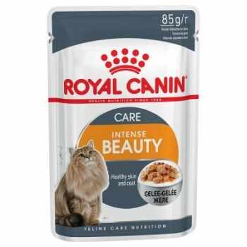 Royal Canin Intense Beauty in Jelly, 85 g