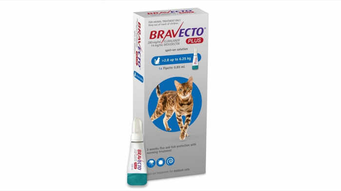 Bravecto Plus Spot On Cat 250 mg (2.8 - 6.25 kg), 1 pipeta
