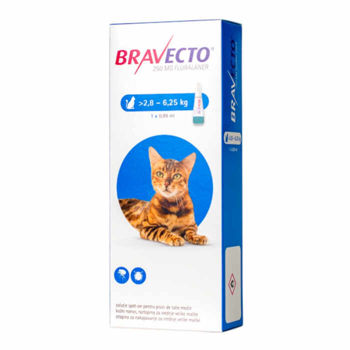 Bravecto Spot On Pisica 2.8-6.25 kg, 250 mg, 1 pipeta