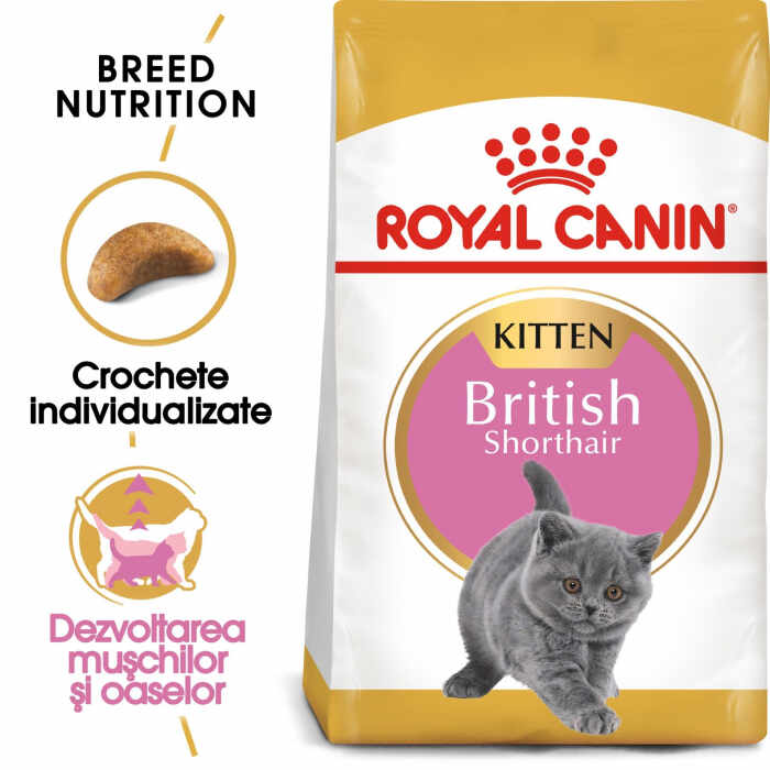 Royal Canin British Shorthair Kitten, 400 g