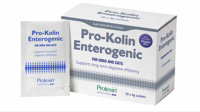 Prokolin Enterogenic pentru caini si pisici, 30 plicuri
