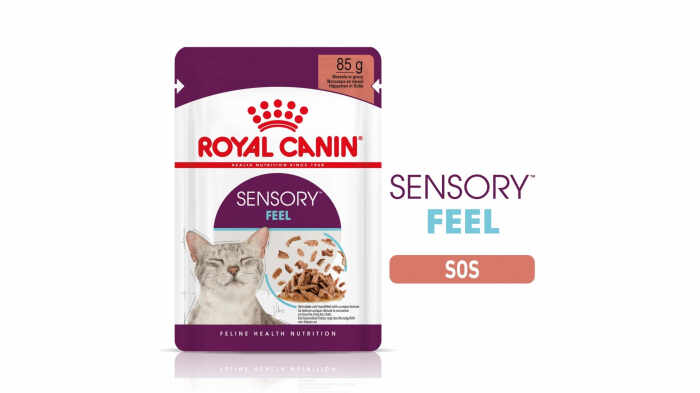 Royal Canin Sensory Feel, hrana umeda pisica pentru stimularea simtului tactil (in sos), 1 x 85 g