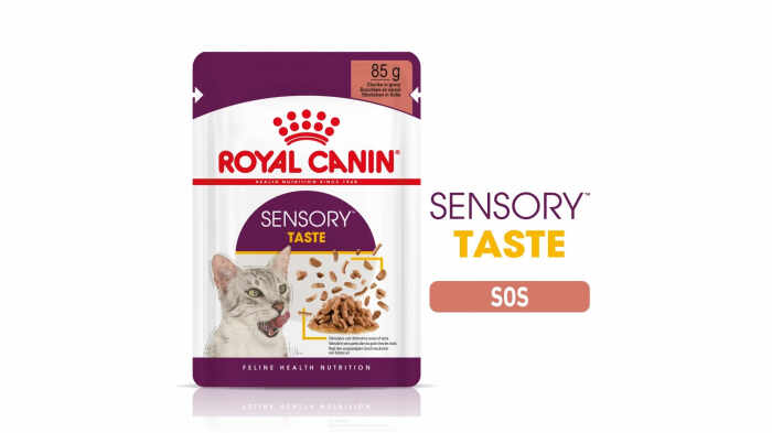 Royal Canin Sensory Taste, hrana umeda pisica pentru stimularea gustului (in sos), 1 x 85 g