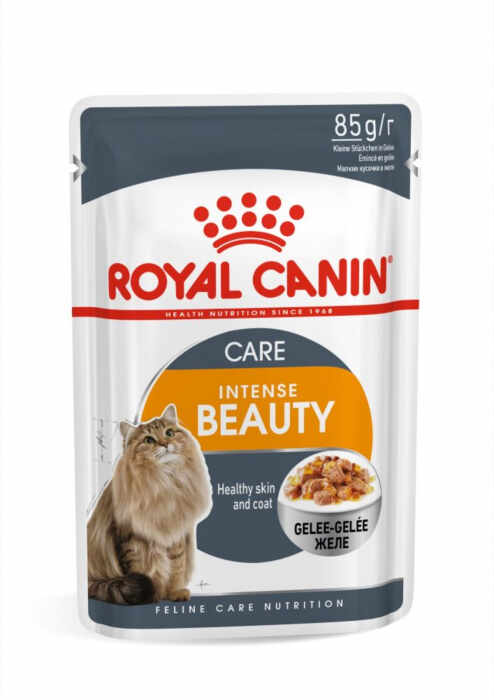 Royal Canin Intense Beauty Care Adult hrana umeda pisica, piele si blana sanatoase (aspic), 12 x 85 g