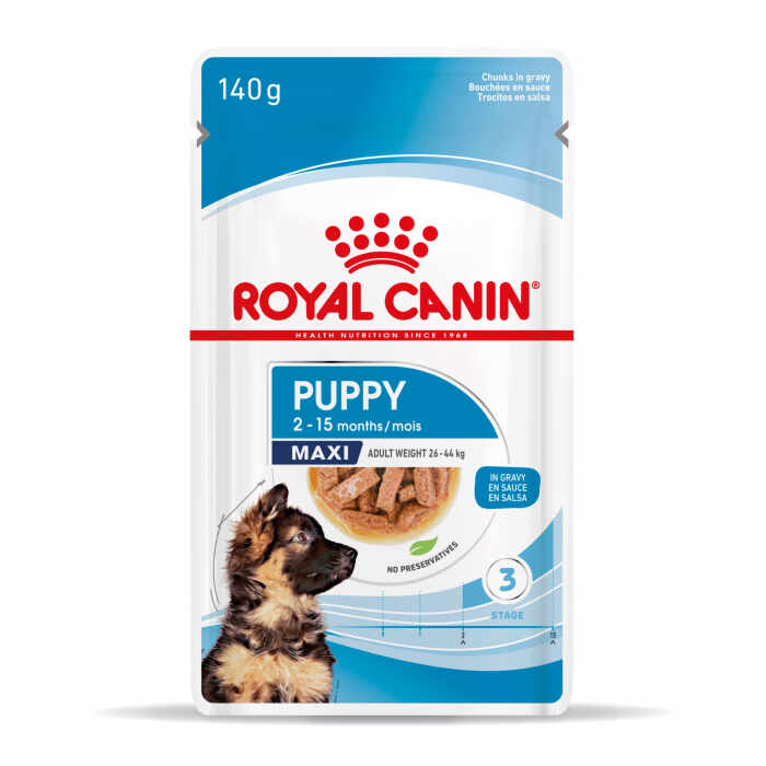 Royal Canin Maxi Puppy hrana umeda caine junior (in sos), 10 x 140 g