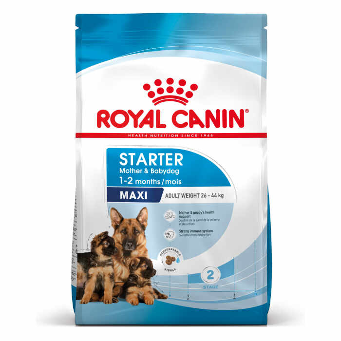 Royal Canin Maxi Starter Mother Babydog, mama si puiul, hrana uscata caine, 4 kg