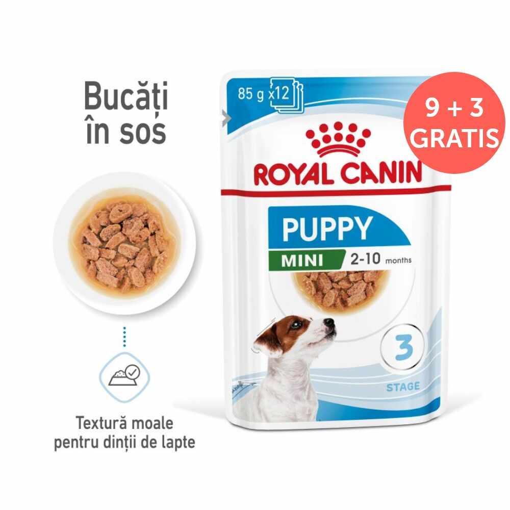 ROYAL CANIN Mini Puppy Plic 12x85g