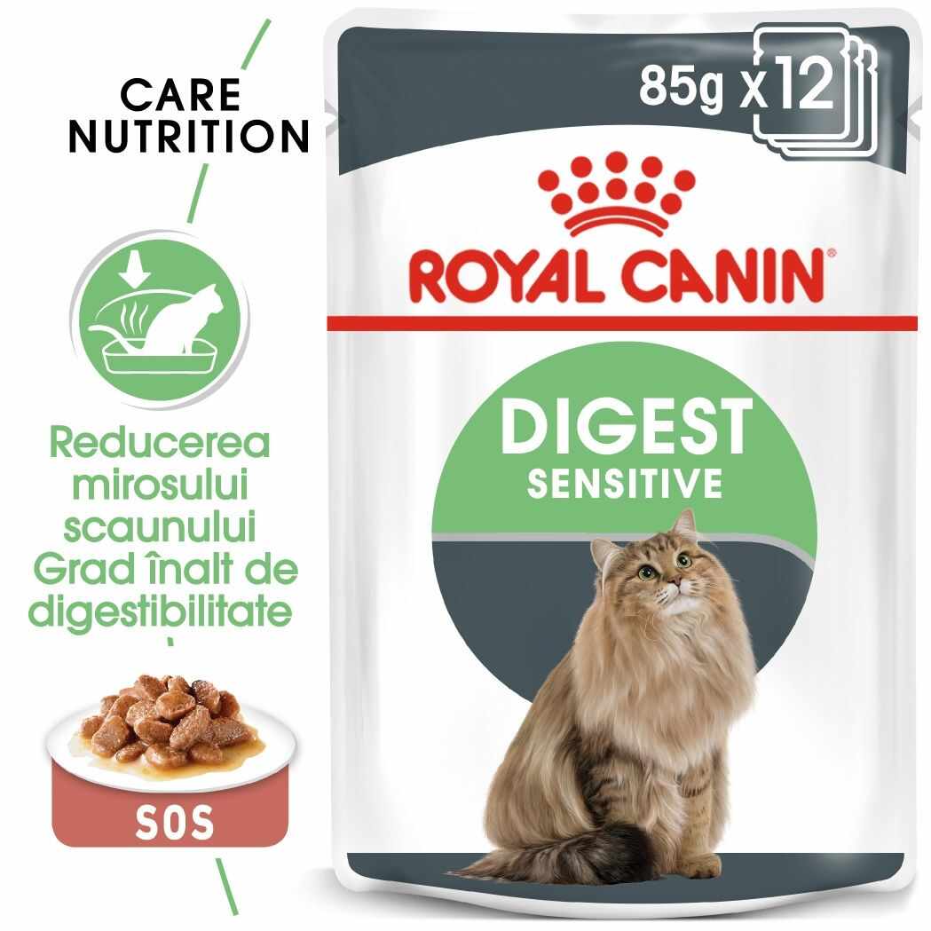 Royal Canin Digest Sensitive Care Adult, hrana umeda pisica in sos/ gravy, 12x85 g