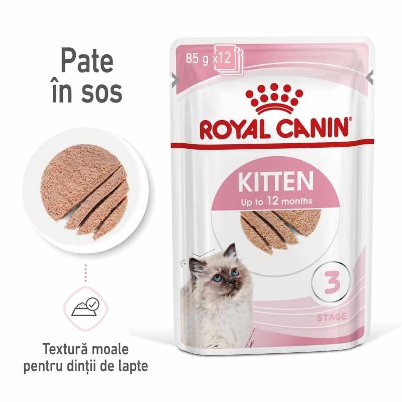 Royal Canin Kitten hrana umeda pisica (pate), 12x85 g