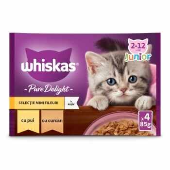 WHISKAS Pure Delight Junior Selectii Pasăre, Pui și Curcan, plic hrană umedă pisici junior, (în aspic), multipack, 85g x 4