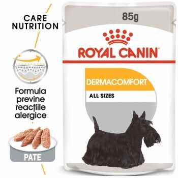 Royal Canin Dermacomfort Adult, bax hrană umedă câini, prevenirea iritațiilor pielii (pate), 85g x 24