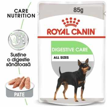 Royal Canin Digestive Care Adult, bax hrană umedă câini, confort digestiv, (pate), 85g x 24