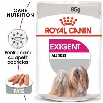 Royal Canin Exigent Adult, bax hrană umedă câini, apetit capricios, (pate), 85g x 24