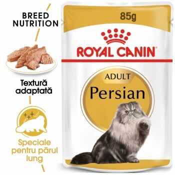 Royal Canin Persian Adult, bax hrană umedă pisici, (pate), 85g x 24