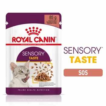 Royal Canin Sensory Taste, bax hrană umedă pisici, stimularea gustului (în sos), 85g x 24