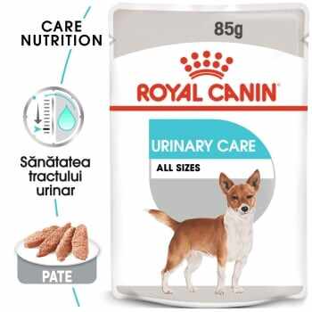 Royal Canin Urinary Care Adult, bax hrană umedă câini, sănătatea tractului urinar, (pate), 85g x 24
