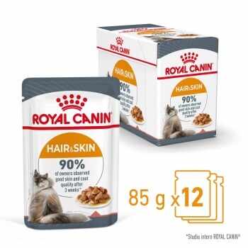 Royal Canin Hair & Skin Care Adult, 2 x bax hrană umedă pisici, piele și blană, (în sos), 85g x 12