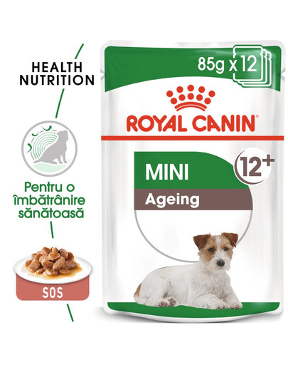 Royal Canin Mini Ageing 12+ hrana umeda caine senior, 12 x 85 g
