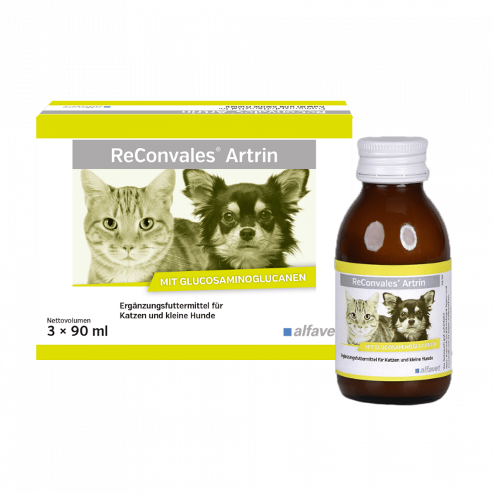 Supliment care sustine metabolismul articular in osteoartrita, caini si pisici, Reconvales ARTRIN, Alfavet, 90 ml