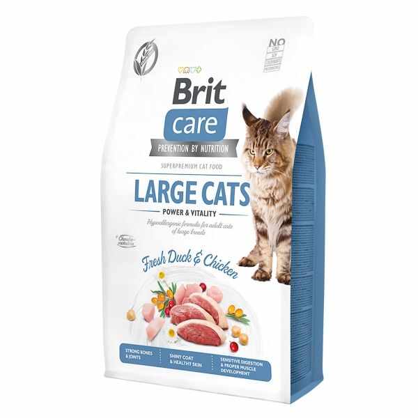 Brit Care Cat GF Large Cats Power and Vitality, 2 kg